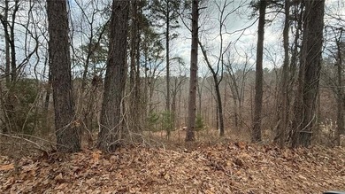 Beaver Lake Lot For Sale in Rogers Arkansas