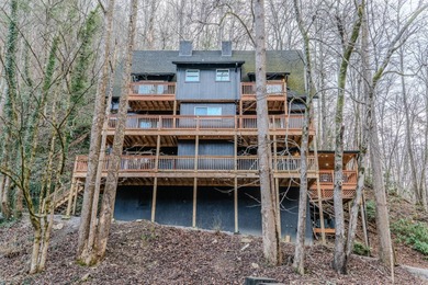 (private lake, pond, creek) Home For Sale in Sevierville Tennessee