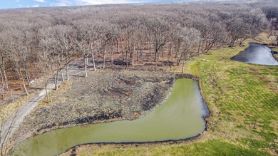 Lake Acreage For Sale in Cedar Lake, Indiana