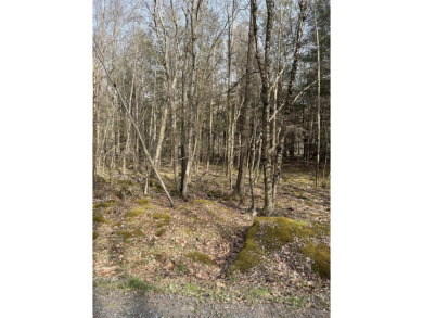 Lake Lot For Sale in Pocono Lake, Pennsylvania