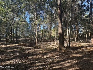Close to beach. Just cleared the under brush . Beautiful 3.4 - photo 1
