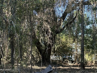 Close to beach. Just cleared the under brush . Beautiful 3.4 - photo 3