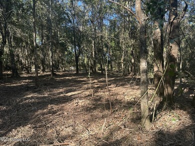 Close to beach. Just cleared the under brush . Beautiful 3.4 - photo 5