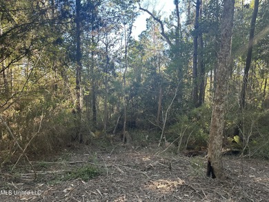 Close to beach. Just cleared the under brush . Beautiful 3.4 - photo 6