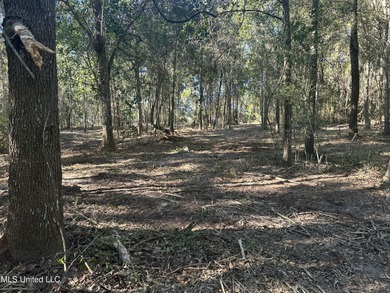 Close to beach. Just cleared the under brush . Beautiful 3.4 - photo 7