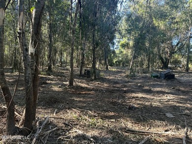 Close to beach. Just cleared the under brush . Beautiful 3.4 - photo 8