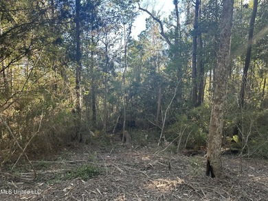 Close to beach. Just cleared the under brush . Beautiful 3.4 - photo 9