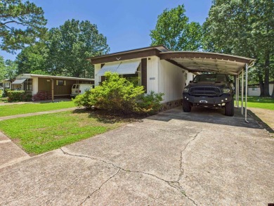 Lake Home For Sale in Lakeview, Arkansas