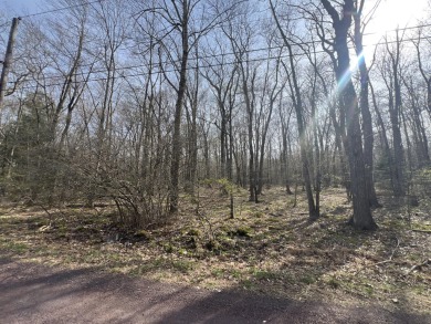 Lake Lot For Sale in Pocono Lake, Pennsylvania