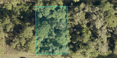 Lehigh Acres Area Lot For Sale in Lehigh Acres Florida