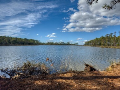 Pungo River - Beaufort County Acreage For Sale in Scranton North Carolina