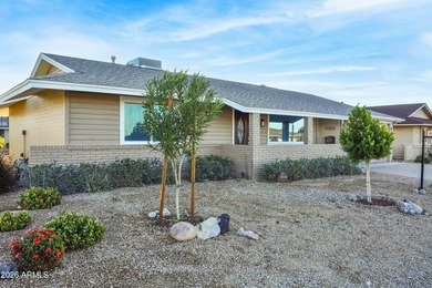This fully remodeled Sun City Doll House is available for rent! - photo 8