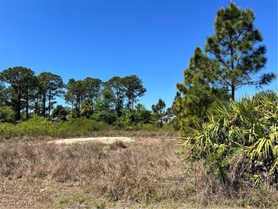 Lehigh Acres Area Lot For Sale in Lehigh Acres Florida