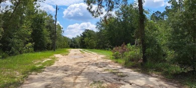 (private lake, pond, creek) Lot For Sale in Hawthorne Florida