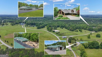 Lake Home For Sale in Hampton, Georgia