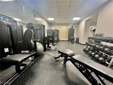 The Meridian, located on the south shore of Lake Erie, offers - photo 37