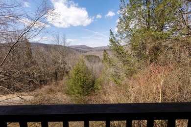 YOUR OWN PRIVATE CATSKILL PARADISE ONLY 10 MINUTES FROM - photo 41