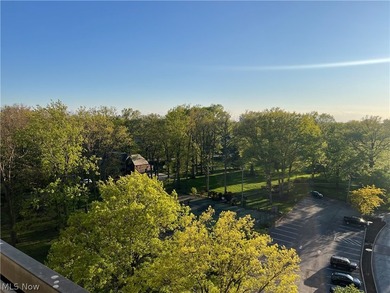 The Meridian, located on the south shore of Lake Erie, offers - photo 42