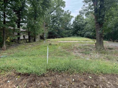 Lake Conway Lot For Sale in Conway Arkansas