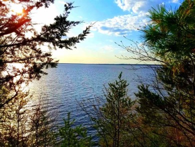 This fully wooded lakefront lot w/ 153' of frontage has westerly - Lake Lot For Sale in Arkdale, Wisconsin