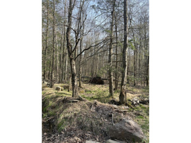 Lake Lot For Sale in Pocono Lake, Pennsylvania