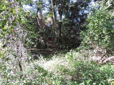 7.77 contiguous acres in 4 tracts with several hundred feet of - photo 12