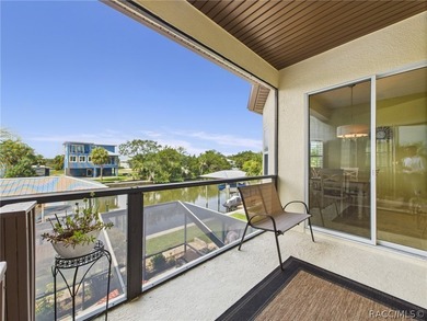 Experience the Best of Crystal River Waterfront Living with - photo 20