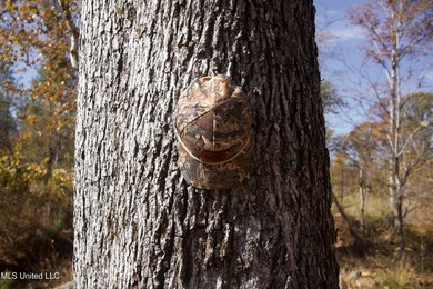 (private lake, pond, creek) Acreage For Sale in Carrollton Mississippi