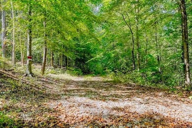 Dale Hollow Lake Acreage For Sale in Alpine Tennessee
