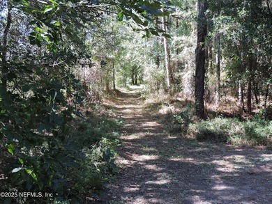 7.77 contiguous acres in 4 tracts with several hundred feet of - photo 22