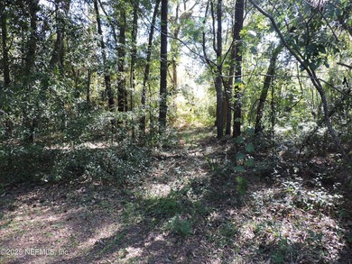 7.77 contiguous acres in 4 tracts with several hundred feet of - photo 26