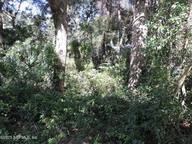 7.77 contiguous acres in 4 tracts with several hundred feet of - photo 28