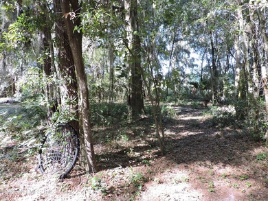 7.77 contiguous acres in 4 tracts with several hundred feet of - photo 32