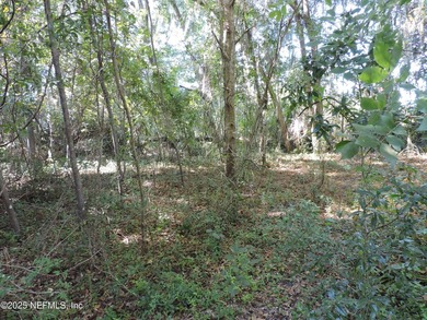7.77 contiguous acres in 4 tracts with several hundred feet of - photo 34