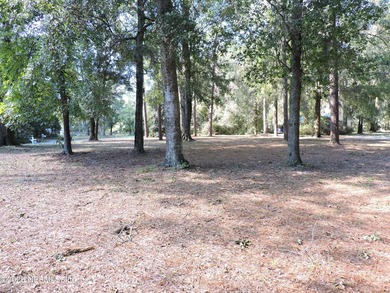 7.77 contiguous acres in 4 tracts with several hundred feet of - photo 37