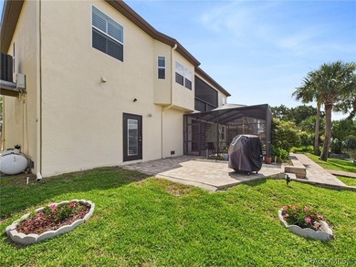 Experience the Best of Crystal River Waterfront Living with - photo 47