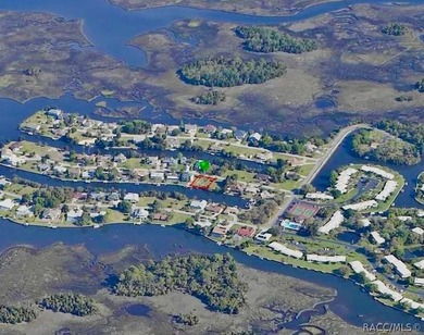 Experience the Best of Crystal River Waterfront Living with - photo 49