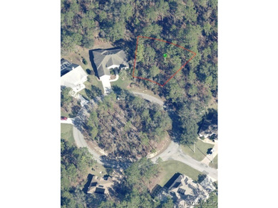 Premium home site in Cypress Village at Sugarmill Woods. Lot 11 - photo 2