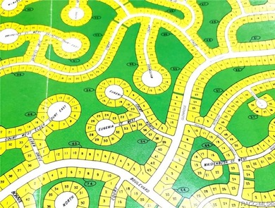 Premium home site in Cypress Village at Sugarmill Woods. Lot 11 - photo 3