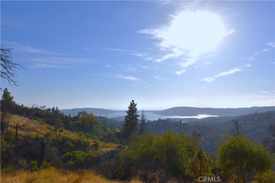 (private lake, pond, creek) Acreage For Sale in Berry Creek California