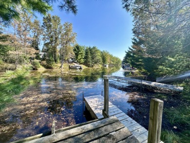 Lake Lot For Sale in Atlanta, Michigan