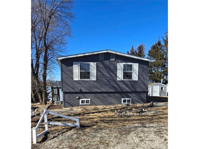 Lake Home For Sale in Dassel Twp, Minnesota