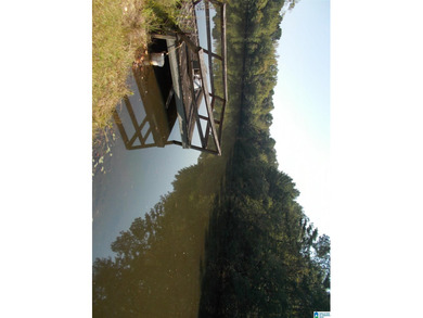 BEAUTIFUL SETTING ON 38+ ACRES OF LAND WITH 7 ACRE PRIVATE - photo 8