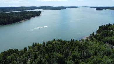 (private lake, pond, coastal) Lot For Sale in Roque Bluffs Maine