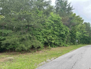 Lake Lot For Sale in Benton, Kentucky