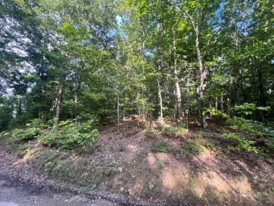 Kentucky Lake Lot For Sale in Big Sandy Tennessee