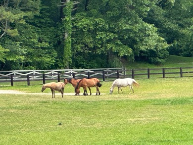 Moss Hill Ranch is a magnificent 50+ acre equestrian farm - photo 11