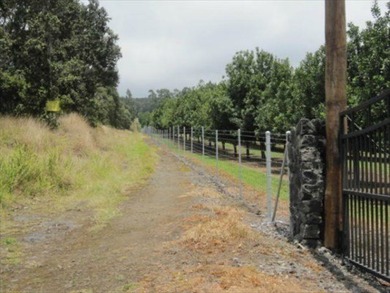 Award winning 211 acre Macadamia Nut Orchard. Finest on the - photo 14