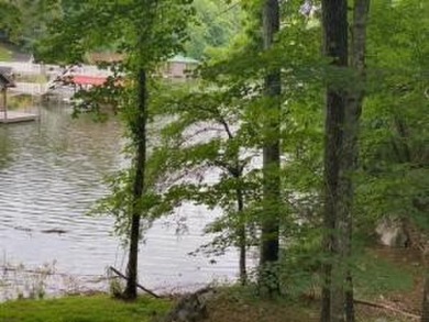 Boone Lake Lot For Sale in Piney Flats Tennessee