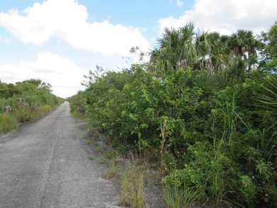 Buildable lot in SW Palm - photo 1